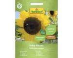Hornbach Blumensamen FloraSelf Sonnenblume 'Hohe Riesen'
