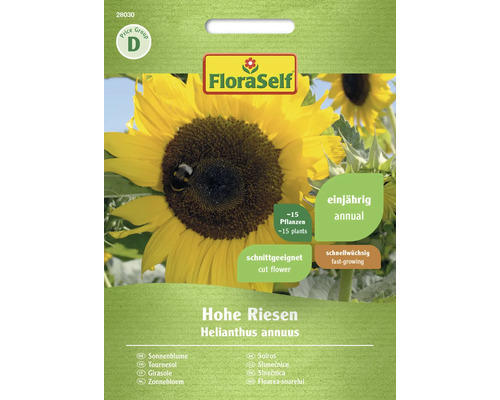 Blumensamen FloraSelf Sonnenblume 'Hohe Riesen'