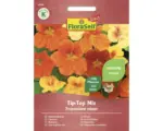 Hornbach Blumensamen FloraSelf Select Kapuzinerkresse ' Tip-Top Mischung '