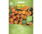 Hornbach Blumensamen FloraSelf großblütige Studentenblume 'Fiesta'