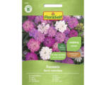 Hornbach Blumensamen FloraSelf Schleifenblume 'Feenmischung'