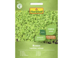 Kräutersamen FloraSelf Kresse 'Krause'