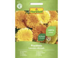 Hornbach Blumensamen FloraSelf Ringelblume 'Prachtmischung'