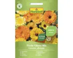Hornbach Blumensamen FloraSelf Ringelblume 'Fiesta Gitana Mischung'