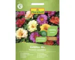 Hornbach Blumensamen FloraSelf Portulakröschen 'Gefüllte Mischung'