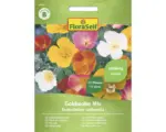 Hornbach Blumensamen FloraSelf Kalifornischer Mohn 'Goldmohn Mischung'