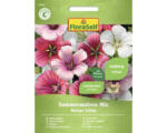 Hornbach Blumensamen FloraSelf Sommermalve Mischung