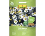 Hornbach Kräutersamen FloraSelf Echte Kamille einjährig