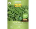 Hornbach Kräutersamen FloraSelf Petersilie 'Gigante di Napoli'