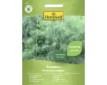 Hornbach Kräutersamen FloraSelf Fenchel 'Common'
