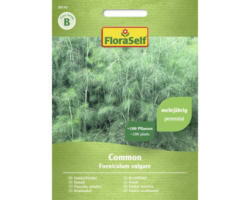 Kräutersamen FloraSelf Fenchel 'Common'