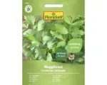 Hornbach Kräutersamen FloraSelf Liebstöckel mehrjährig