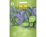 Hornbach Kräutersamen FloraSelf Lavendel 'Echter Speik'