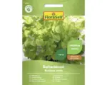 Hornbach Kräutersamen FloraSelf Winterkresse 'Barbarakraut'