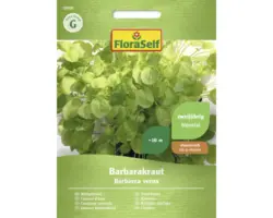Kräutersamen FloraSelf Winterkresse 'Barbarakraut'