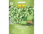 Hornbach Kräutersamen FloraSelf Kresse 'Glatte großblättrige'