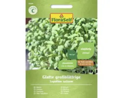 Kräutersamen FloraSelf Kresse 'Glatte großblättrige'