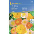 Hornbach Blumensamen Kiepenkerl Islandmohn 'Pastell Mischung'