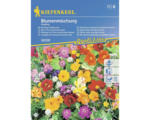 Hornbach Blumenmischung Kiepenkerl 'Niedrige Duftblumen'