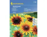 Hornbach Blumensamen Kiepenkerl Sonnenhut, Rudbeckia hirta einjährige Mischung