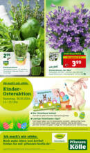 Pflanzen-Kölle Pflanzen-Kölle: Ostern - bis 31.03.2024