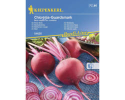 Gemüsesamen Kiepenkerl Rote Rübe 'Chioggia-Guardsmark'