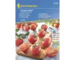 Hornbach Gemüsesamen Kiepenkerl Tomate 'Curaso Rot®'