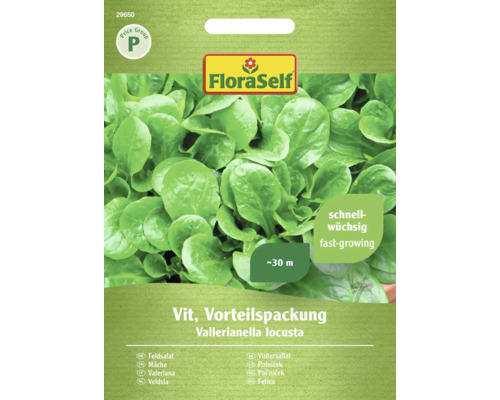 Salatsamen FloraSelf Feldsalat 'Vit' Großpackung