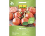 Hornbach Gemüsesamen FloraSelf Tomate 'Harzfeuer F1'