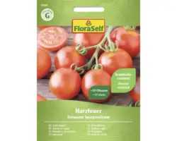 Gemüsesamen FloraSelf Tomate 'Harzfeuer F1'