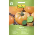 Hornbach Gemüsesamen FloraSelf Fleischtomate 'Ananas'