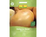 Hornbach Gemüsesamen FloraSelf Zwiebel 'Stuttgarter Riesen'