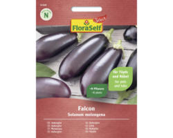 Gemüsesamen FloraSelf Select Aubergine 'Falcon F1'