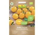 Hornbach Gemüsesamen FloraSelf Bio Tomate 'Golden Currant'
