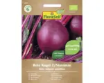 Hornbach Gemüsesamen FloraSelf Bio Rote Rübe 'Rote Kugel 2/Sturoman'
