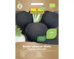 Hornbach Gemüsesamen FloraSelf Bio Rettich 'Runder schwarzer Winter'