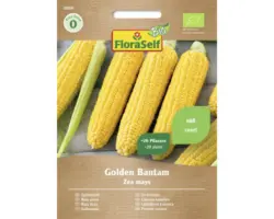 Gemüsesamen FloraSelf Bio Zuckermais 'Golden Bantam'