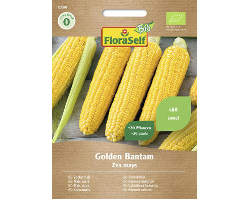 Gemüsesamen FloraSelf Bio Zuckermais 'Golden Bantam'