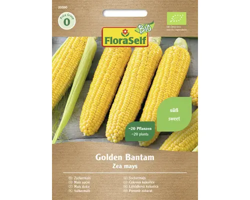 Gemüsesamen FloraSelf Bio Zuckermais 'Golden Bantam'