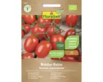Hornbach Gemüsesamen FloraSelf Bio Kirschtomate 'Baloe'