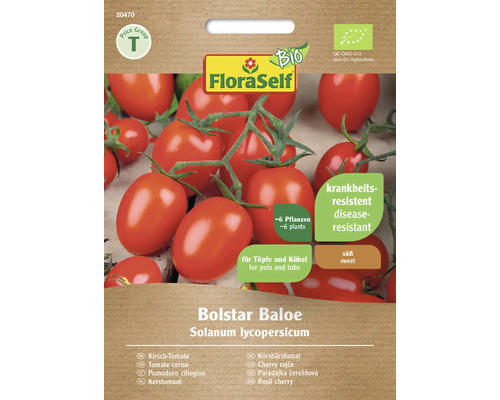 Gemüsesamen FloraSelf Bio Kirschtomate 'Baloe'