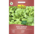Hornbach Salatsamen Saatband FloraSelf Select Feldsalat/Vogerlsalat 'Favor'