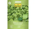 Hornbach Salatsamen FloraSelf Feldsalat/Vogerlsalat 'Verte de Cambrai'