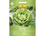Hornbach Salatsamen FloraSelf Kopfsalat 'Attraktion'