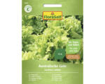 Hornbach Salatsamen FloraSelf Schnittsalat/Pflücksalat 'Australische Gele'