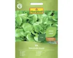 Hornbach Salatsamen FloraSelf Feldsalat/Vogerlsalat 'Vit'
