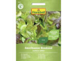 Hornbach Salatsamen FloraSelf Schnittsalat/Pflücksalat 'Amerikaanse Roodrand'