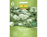 Hornbach Kräutersamen FloraSelf Bärlauch 'Waldknoblauch'