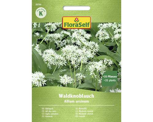 Kräutersamen FloraSelf Bärlauch 'Waldknoblauch'