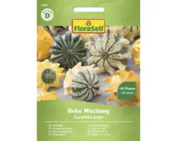Gemüsesamen FloraSelf Zierkürbis 'Deko Mischung'